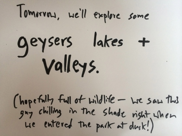 geysers, lakes valleys